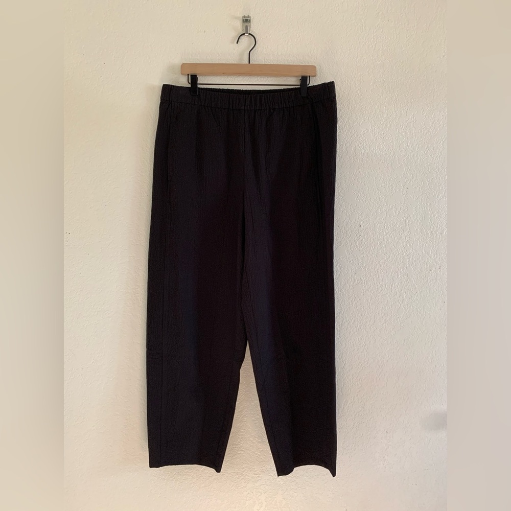 Eileen Fisher Black Ankle Pants